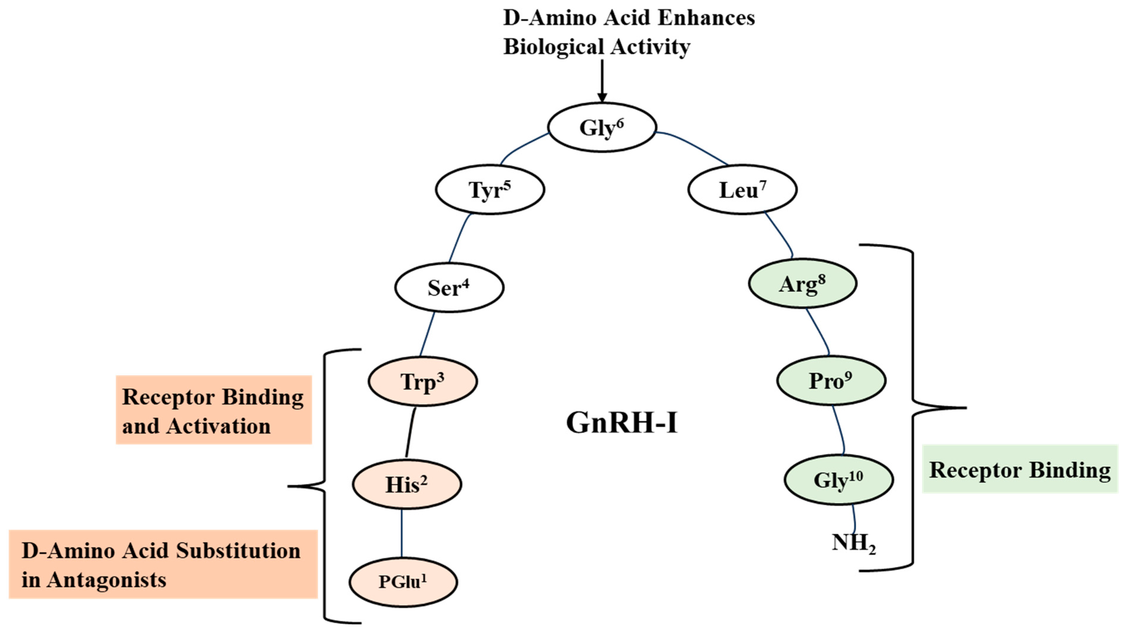 Pharmaceuticals 18 00036 g001 Pharmaceuticals 18 00036 g001