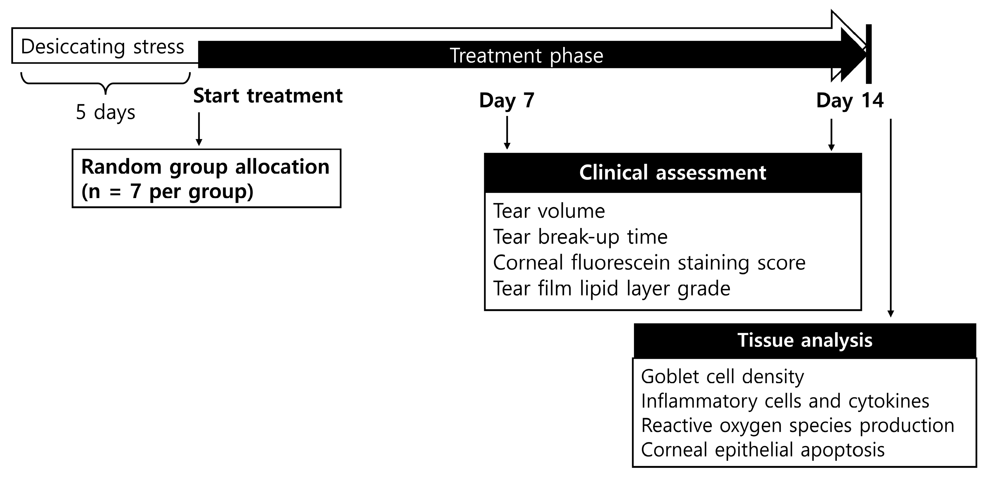 Pharmaceuticals 18 00038 g005
