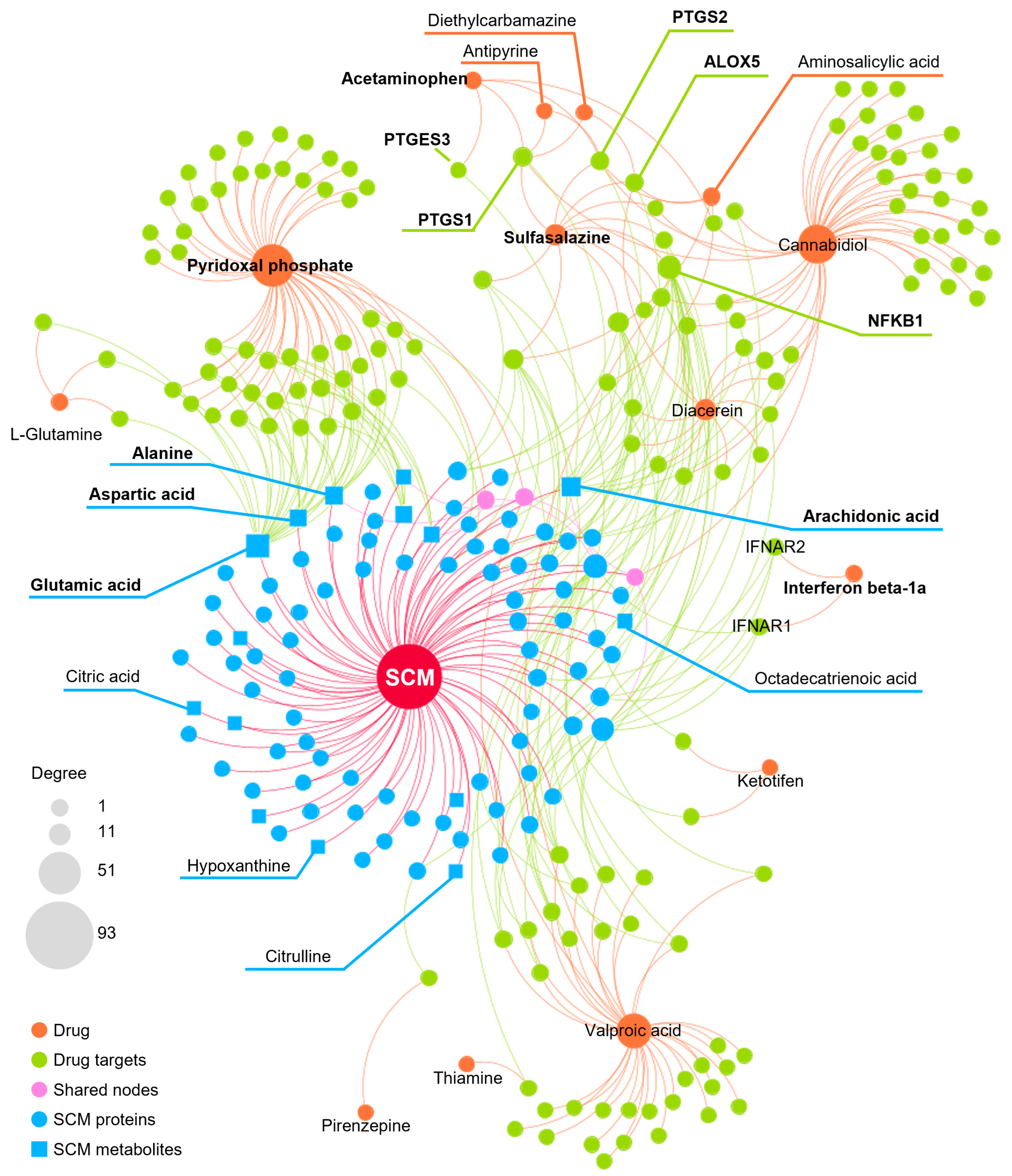 Pharmaceuticals 18 00043 g006