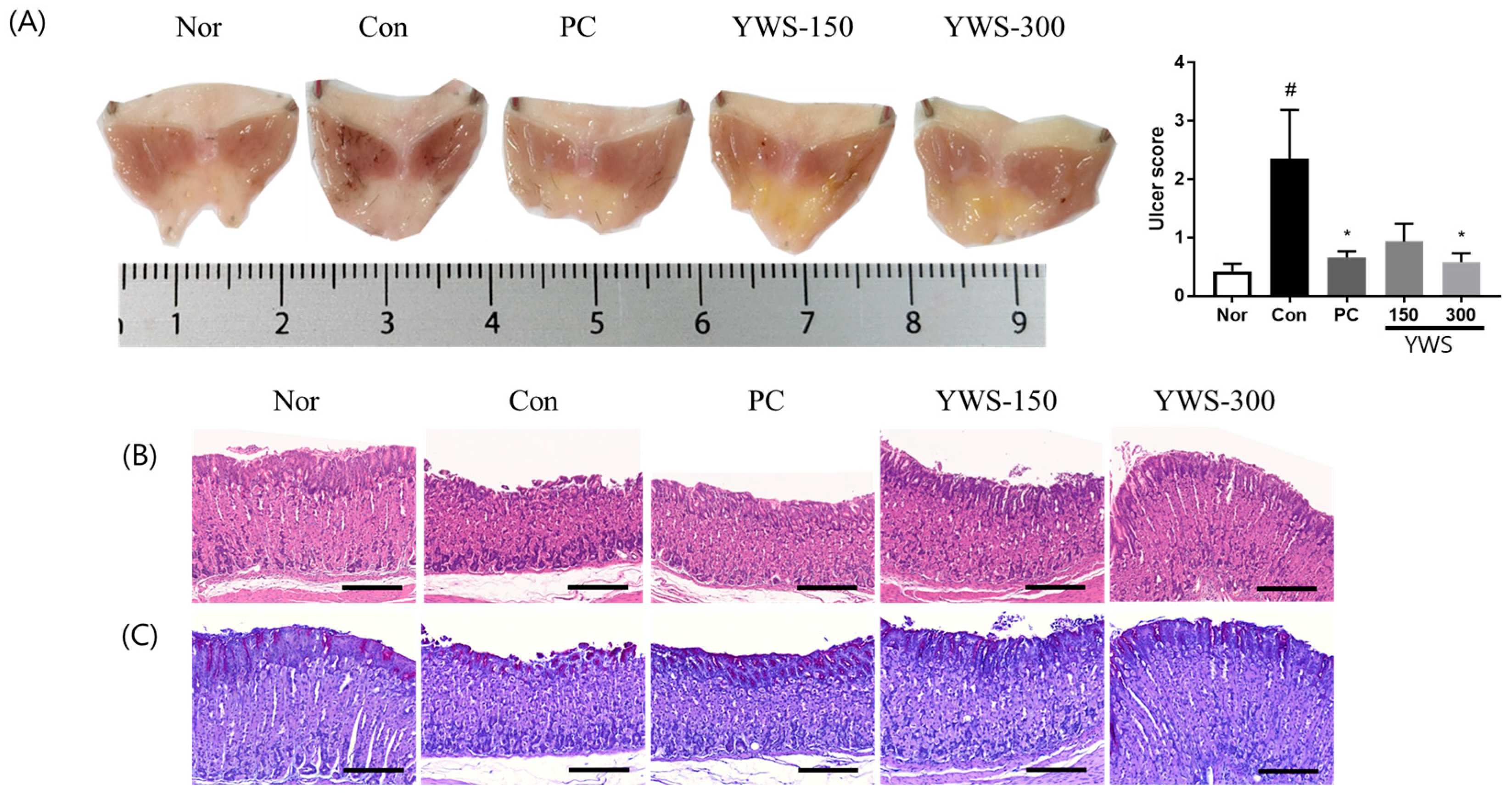 Pharmaceuticals 18 00044 g003