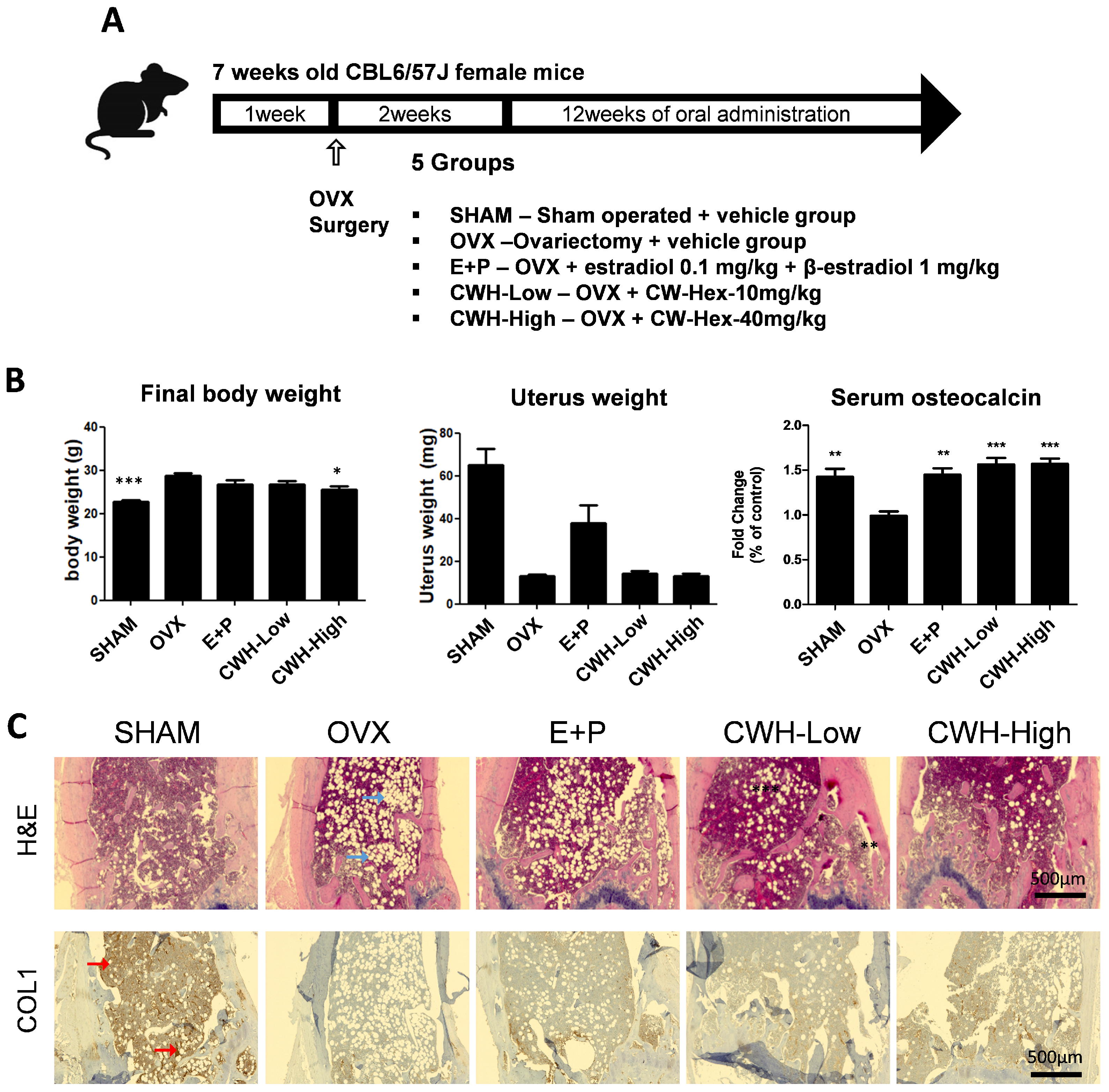 Pharmaceuticals 18 00045 g002