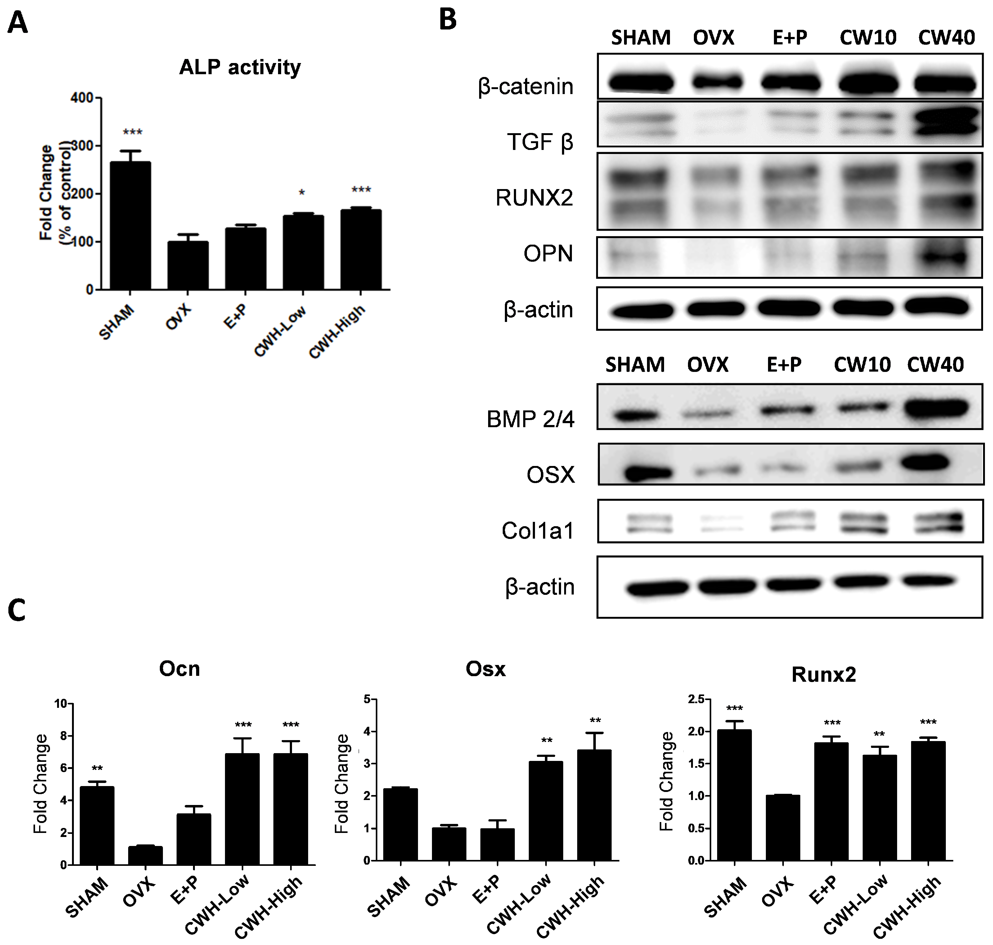 Pharmaceuticals 18 00045 g004