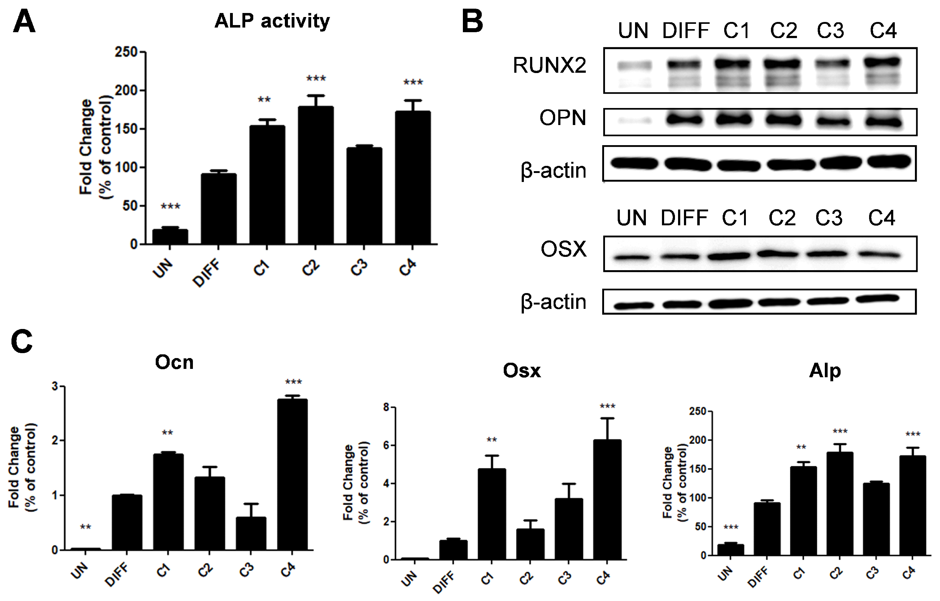 Pharmaceuticals 18 00045 g006