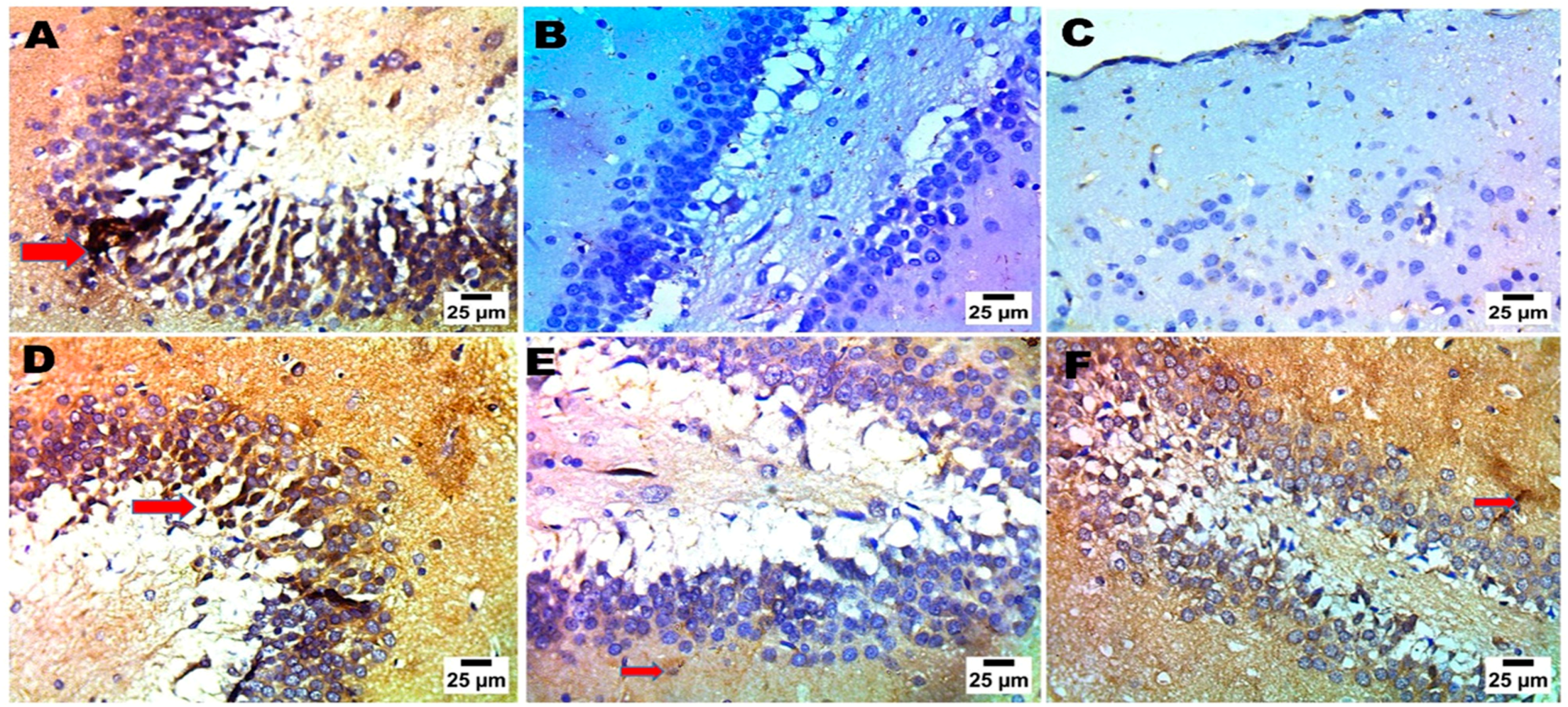 Pharmaceuticals 18 00046 g007