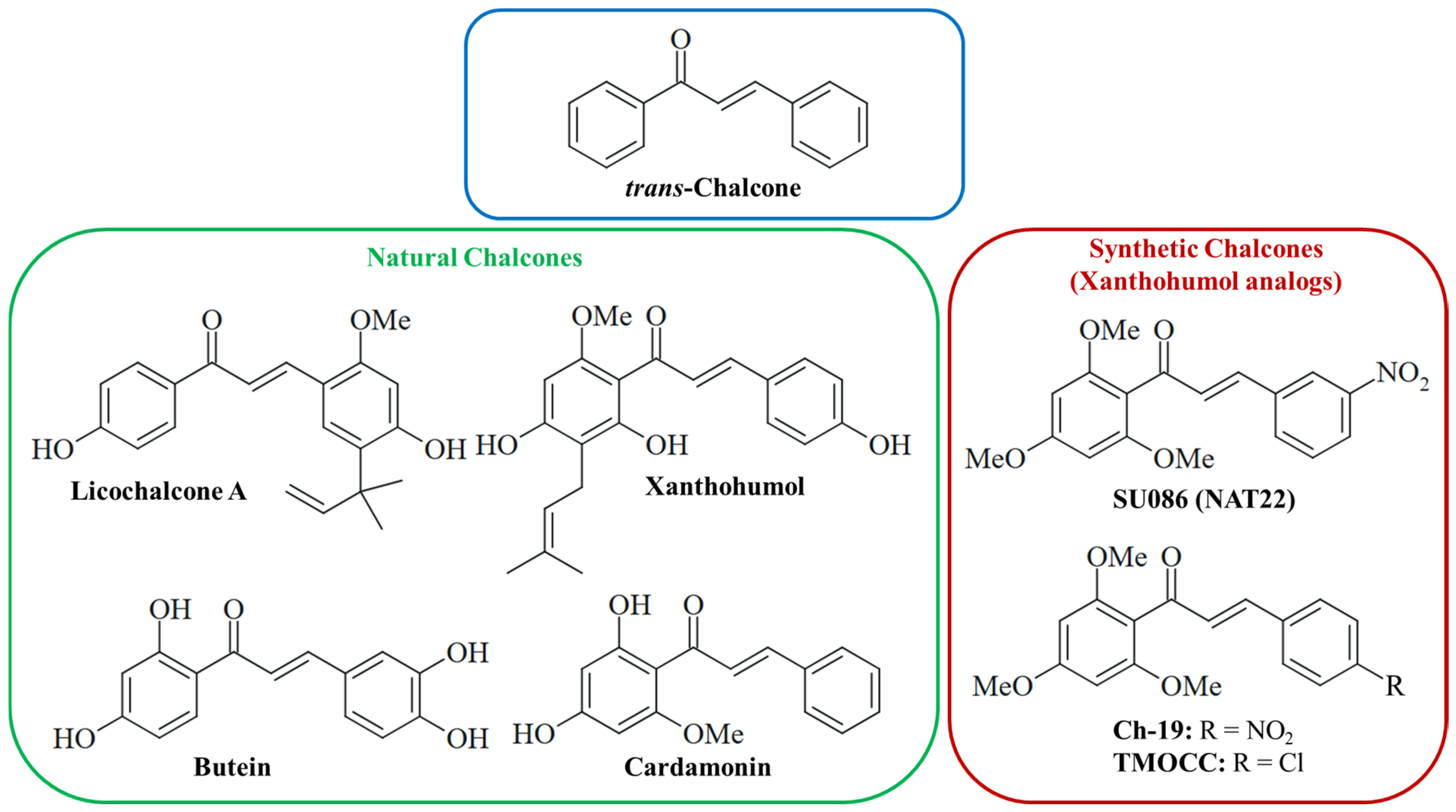Pharmaceuticals 18 00050 g001