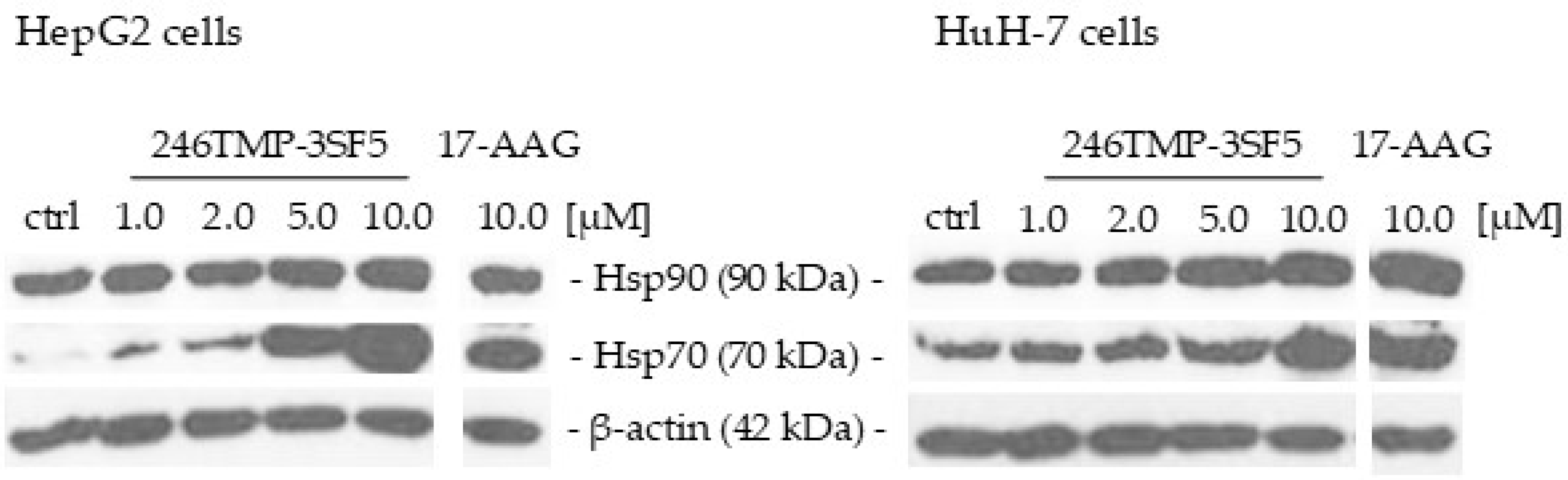 Pharmaceuticals 18 00050 g005