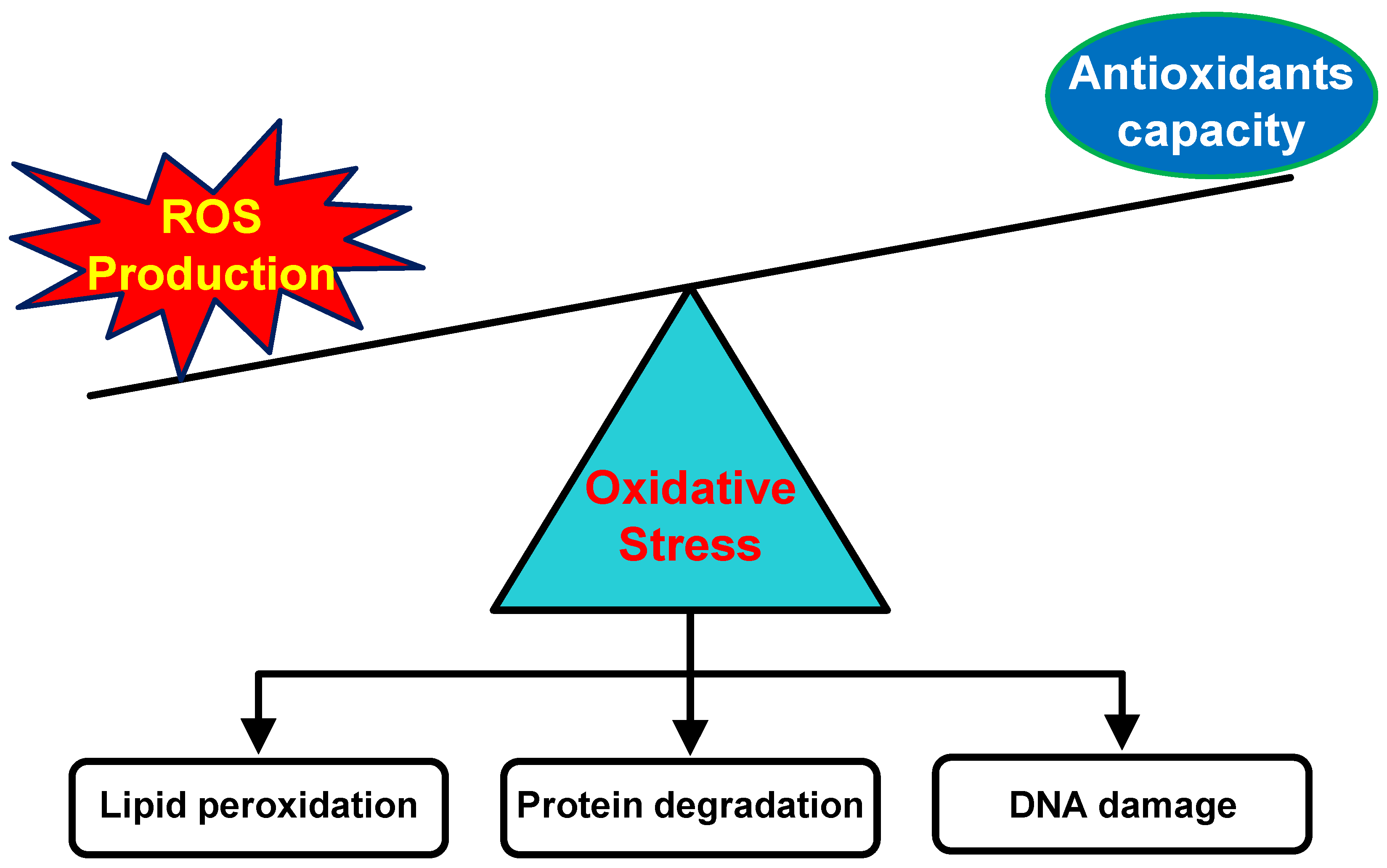Pharmaceuticals 18 00056 g001