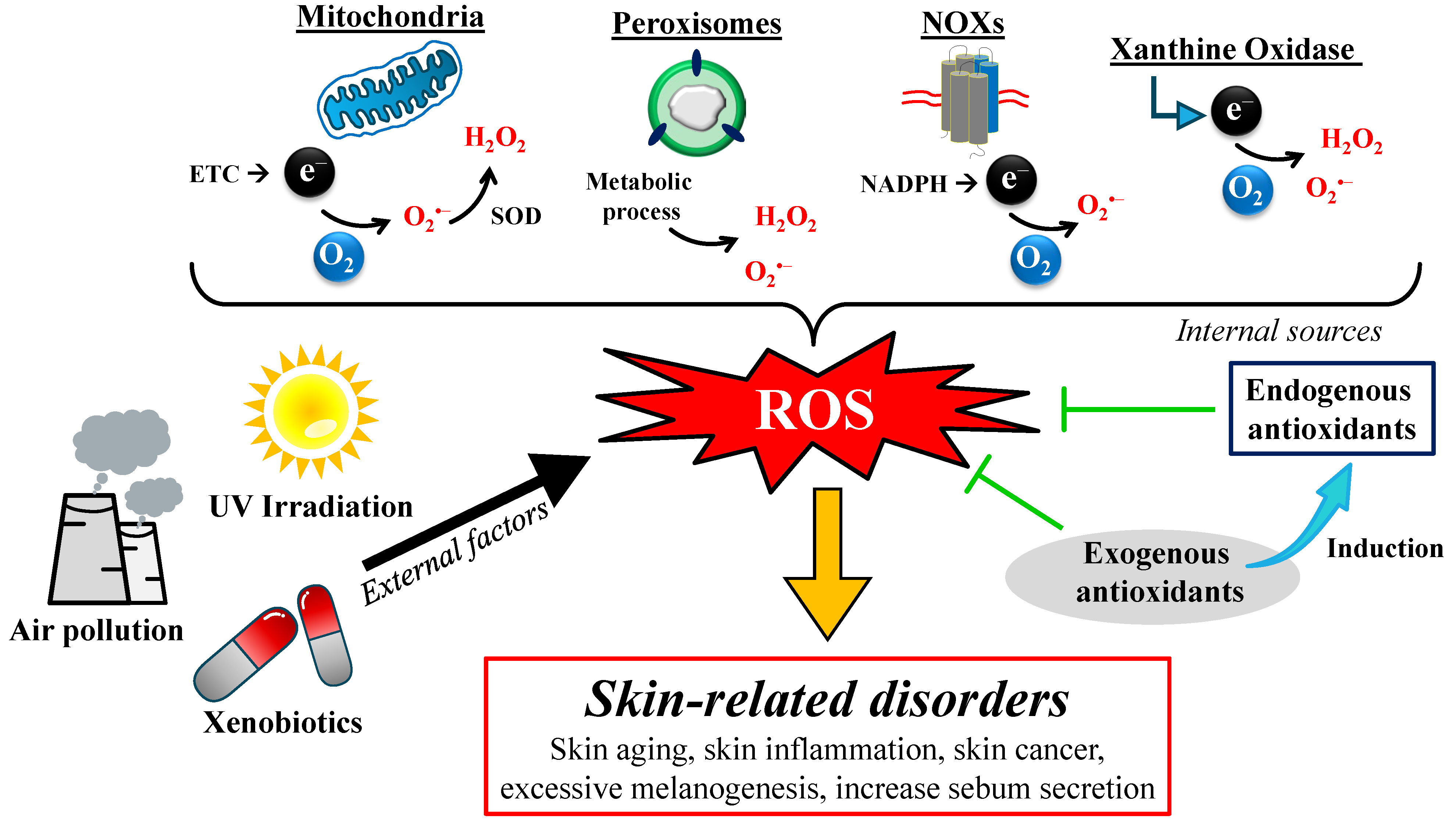 Pharmaceuticals 18 00056 g002