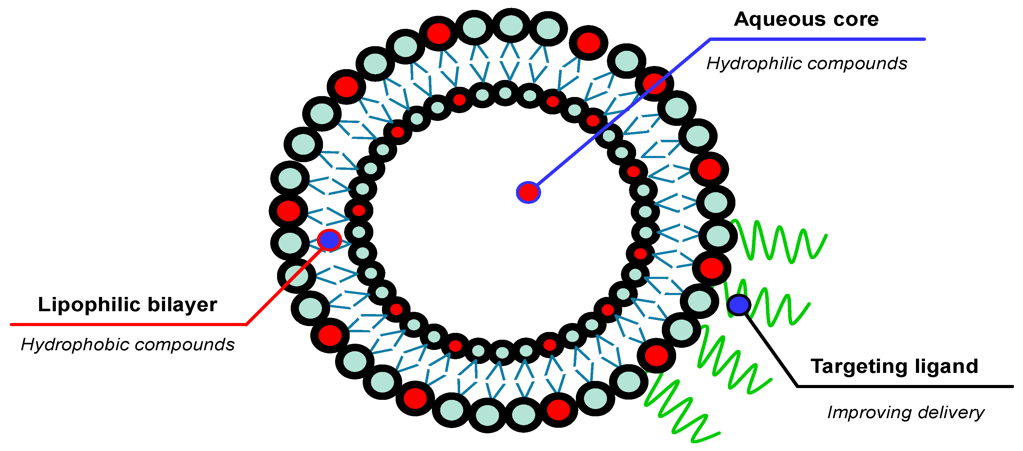 Pharmaceuticals 18 00056 g005