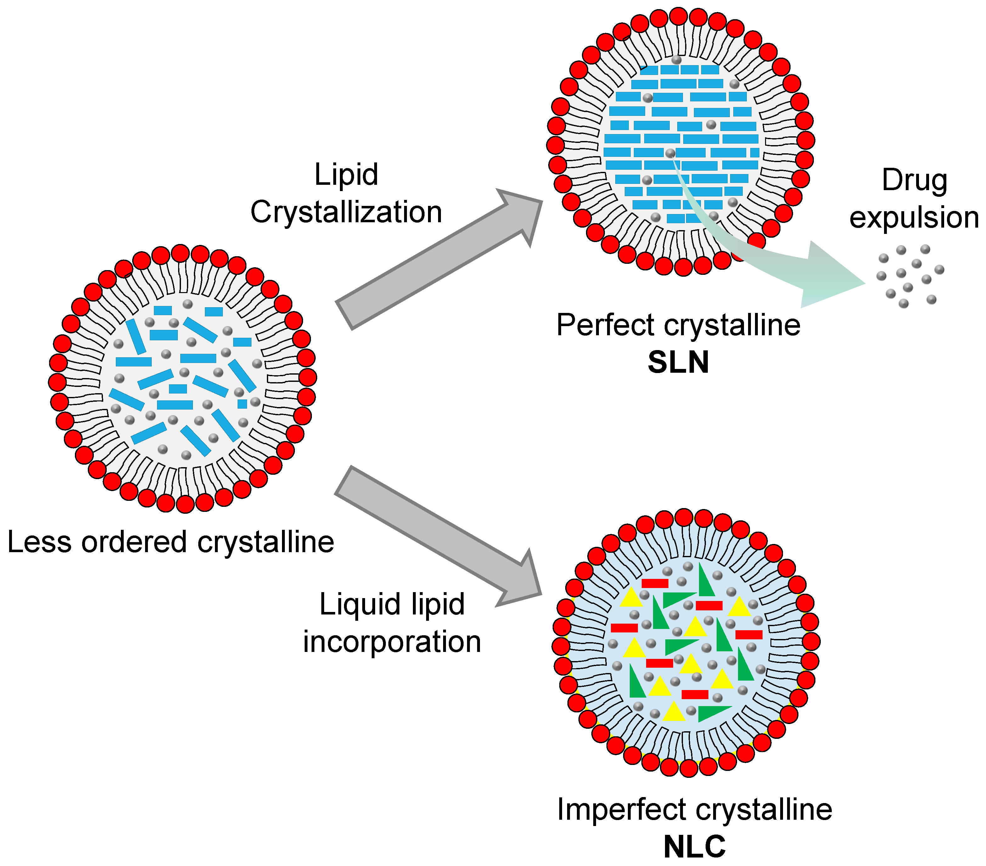 Pharmaceuticals 18 00056 g006