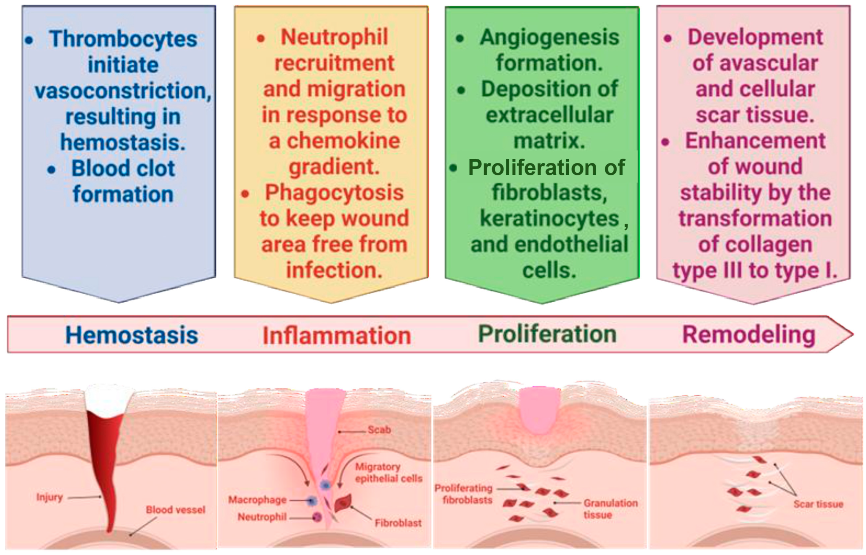 Pharmaceuticals 18 00058 g001