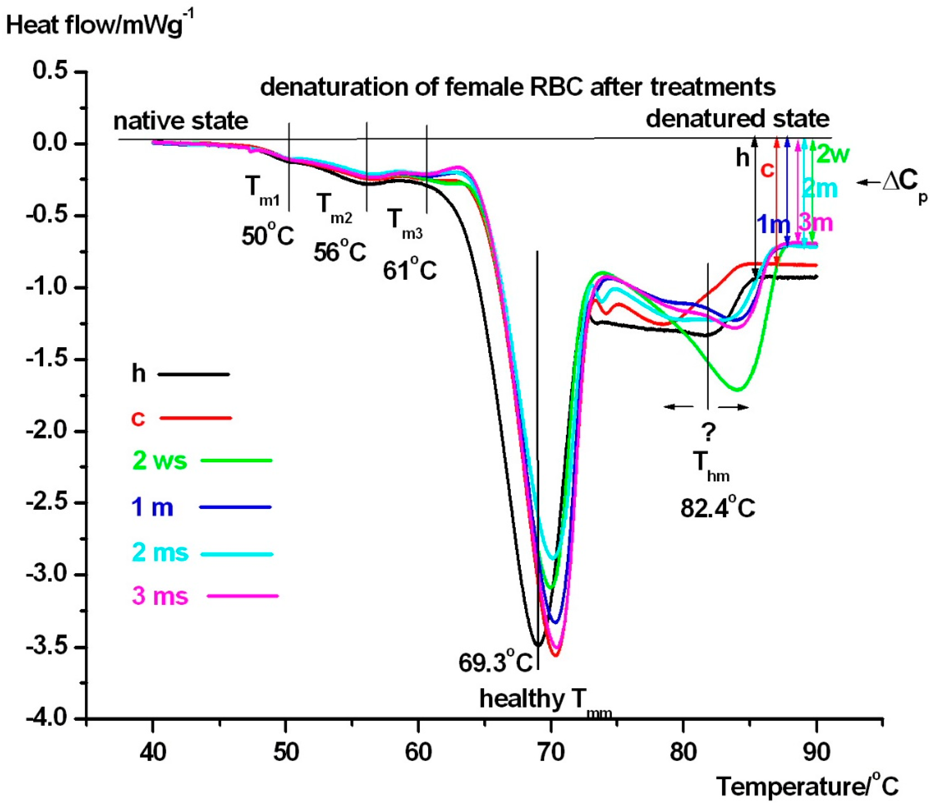 Pharmaceuticals 18 00060 g001