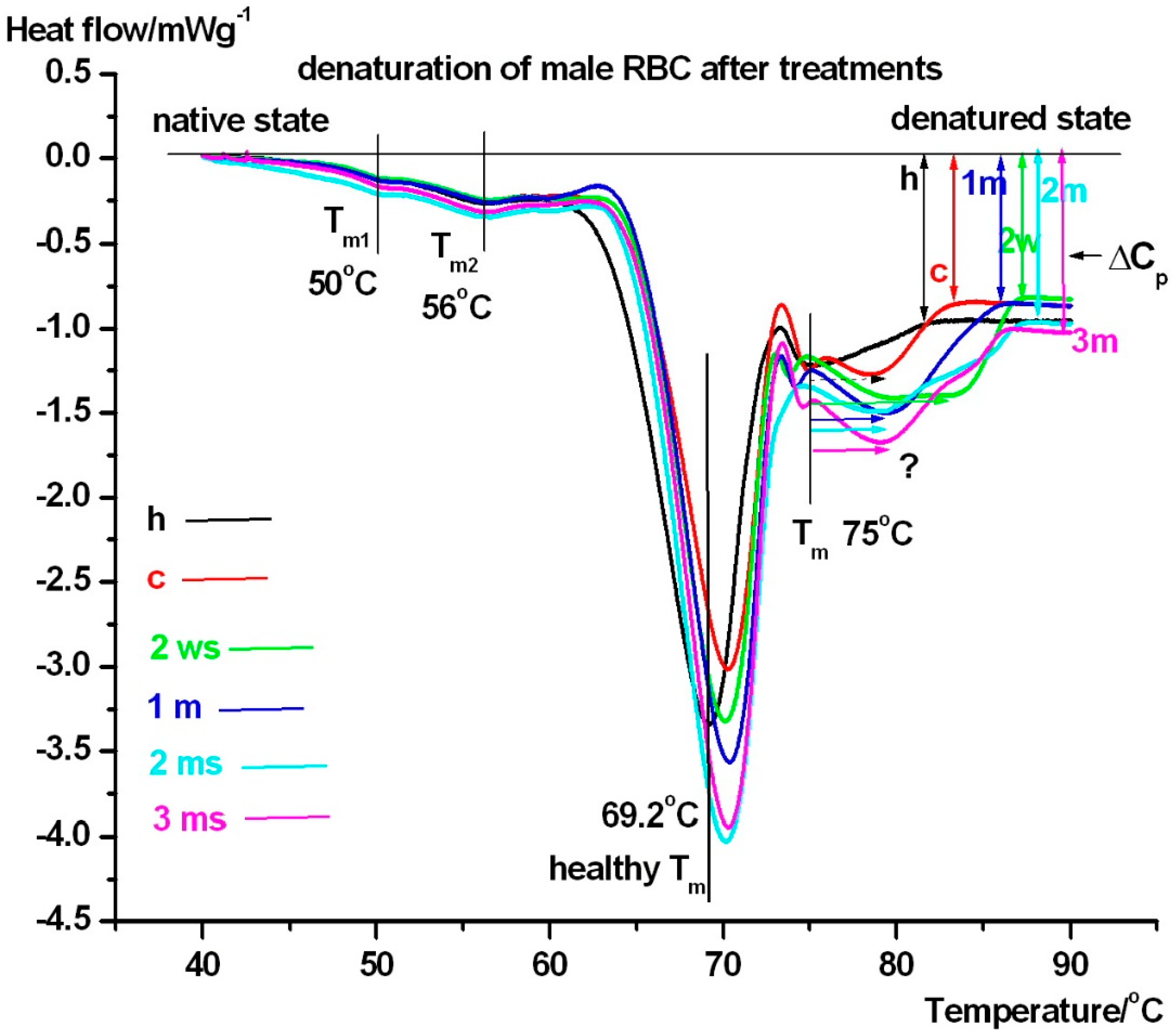 Pharmaceuticals 18 00060 g002