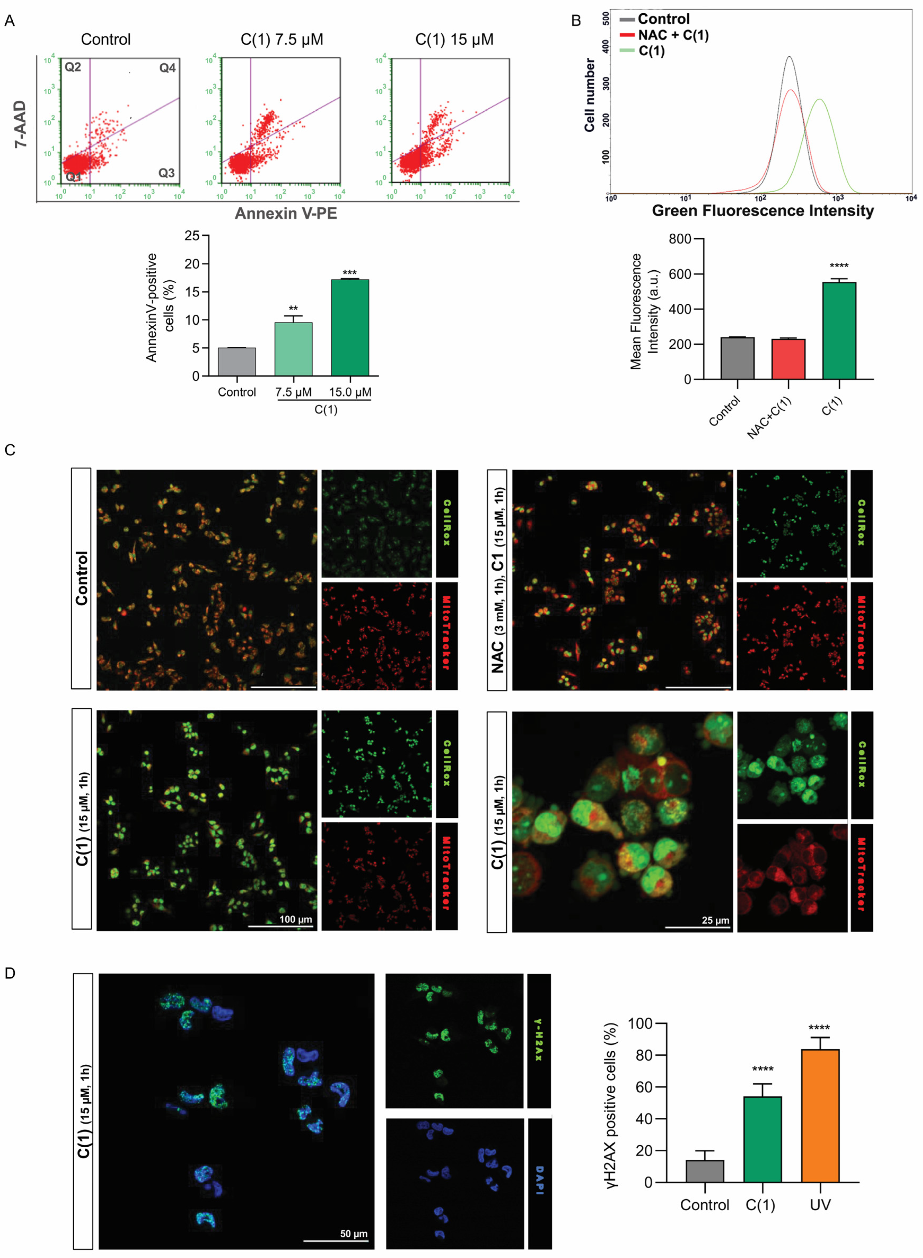 Pharmaceuticals 18 00063 g012