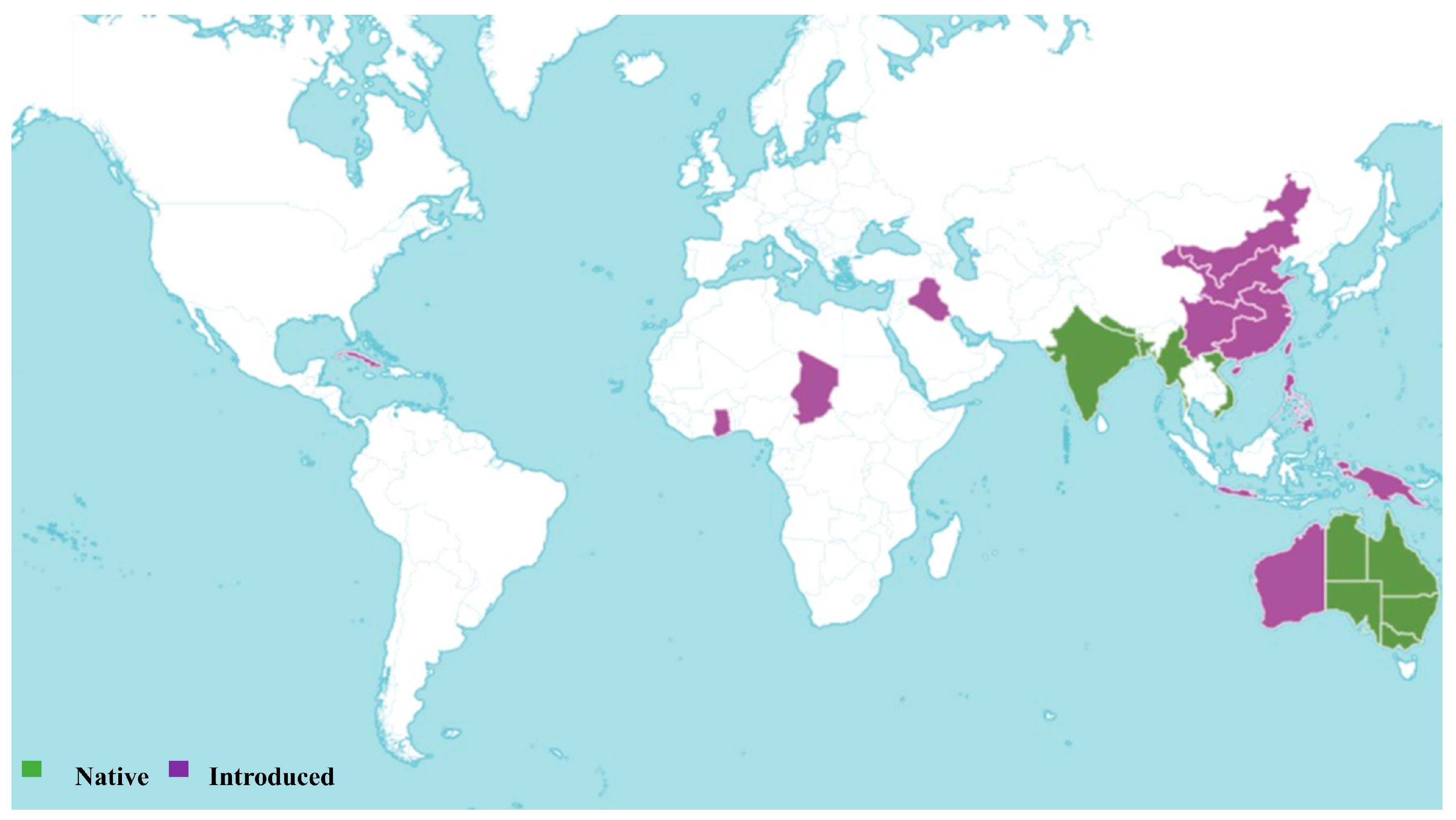 Pharmaceuticals 18 00064 g003
