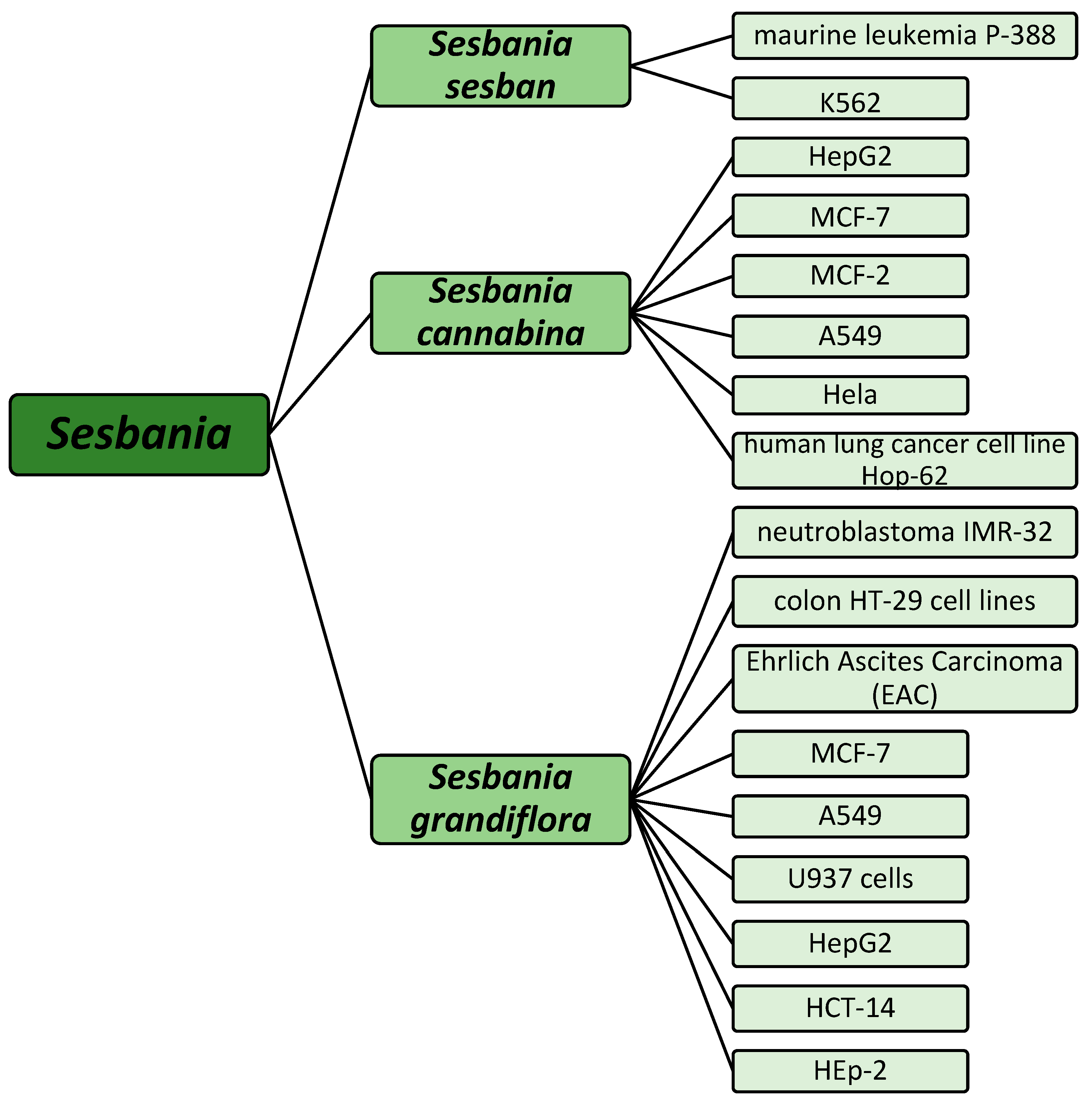 Pharmaceuticals 18 00064 g006