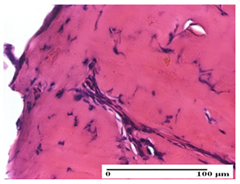 Pharmaceuticals 18 00065 i003 Pharmaceuticals 18 00065 i003