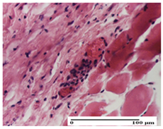 Pharmaceuticals 18 00065 i006 Pharmaceuticals 18 00065 i006