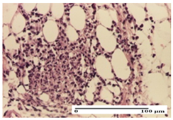 Pharmaceuticals 18 00065 i014 Pharmaceuticals 18 00065 i014