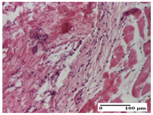 Pharmaceuticals 18 00065 i015 Pharmaceuticals 18 00065 i015