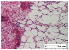 Pharmaceuticals 18 00065 i016 Pharmaceuticals 18 00065 i016