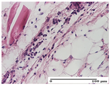 Pharmaceuticals 18 00065 i018 Pharmaceuticals 18 00065 i018