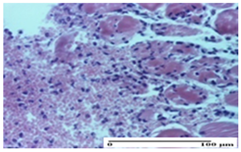 Pharmaceuticals 18 00065 i020 Pharmaceuticals 18 00065 i020