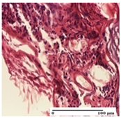 Pharmaceuticals 18 00065 i023 Pharmaceuticals 18 00065 i023