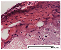 Pharmaceuticals 18 00065 i025 Pharmaceuticals 18 00065 i025