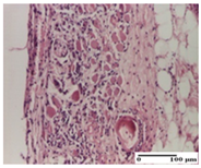 Pharmaceuticals 18 00065 i030 Pharmaceuticals 18 00065 i030