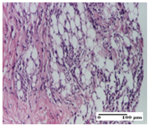 Pharmaceuticals 18 00065 i031 Pharmaceuticals 18 00065 i031