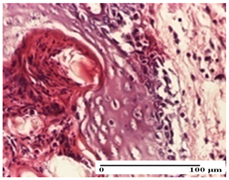 Pharmaceuticals 18 00065 i035 Pharmaceuticals 18 00065 i035