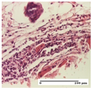 Pharmaceuticals 18 00065 i040 Pharmaceuticals 18 00065 i040