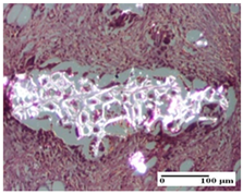 Pharmaceuticals 18 00065 i044 Pharmaceuticals 18 00065 i044