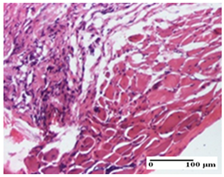 Pharmaceuticals 18 00065 i045 Pharmaceuticals 18 00065 i045