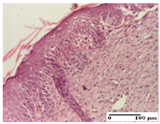 Pharmaceuticals 18 00065 i049 Pharmaceuticals 18 00065 i049