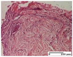 Pharmaceuticals 18 00065 i051 Pharmaceuticals 18 00065 i051