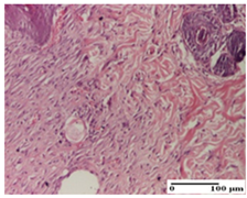 Pharmaceuticals 18 00065 i052 Pharmaceuticals 18 00065 i052