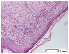 Pharmaceuticals 18 00065 i054 Pharmaceuticals 18 00065 i054