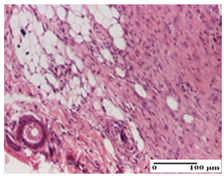 Pharmaceuticals 18 00065 i055 Pharmaceuticals 18 00065 i055