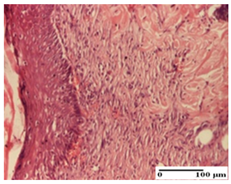 Pharmaceuticals 18 00065 i056 Pharmaceuticals 18 00065 i056