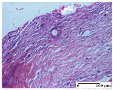 Pharmaceuticals 18 00065 i057 Pharmaceuticals 18 00065 i057