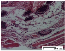 Pharmaceuticals 18 00065 i058 Pharmaceuticals 18 00065 i058