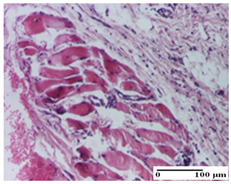 Pharmaceuticals 18 00065 i060 Pharmaceuticals 18 00065 i060