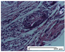 Pharmaceuticals 18 00065 i061 Pharmaceuticals 18 00065 i061