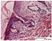 Pharmaceuticals 18 00065 i063 Pharmaceuticals 18 00065 i063