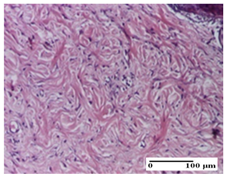 Pharmaceuticals 18 00065 i064 Pharmaceuticals 18 00065 i064