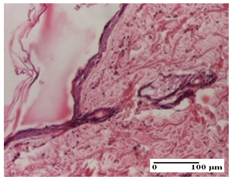 Pharmaceuticals 18 00065 i065 Pharmaceuticals 18 00065 i065