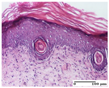 Pharmaceuticals 18 00065 i066 Pharmaceuticals 18 00065 i066