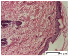 Pharmaceuticals 18 00065 i070 Pharmaceuticals 18 00065 i070